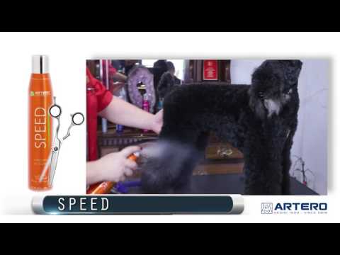 Artero Speed Dry Shampoo