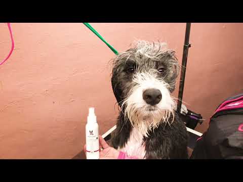 Warren London 10 in 1 After Bath Spray 118ml
