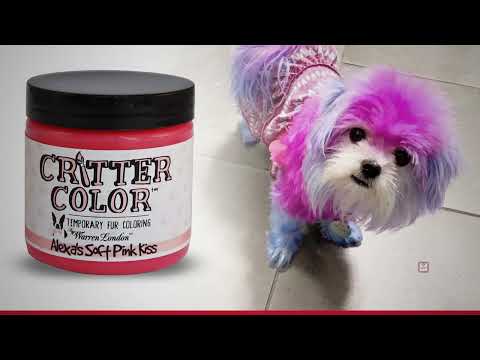 Warren London Critter Color Temporary Dog Fur Dye