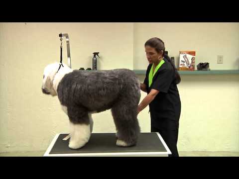 Wahl Bravura Cord/Cordless Animal Clipper