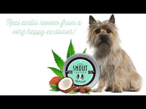 Natural Dog Company Snout Soother