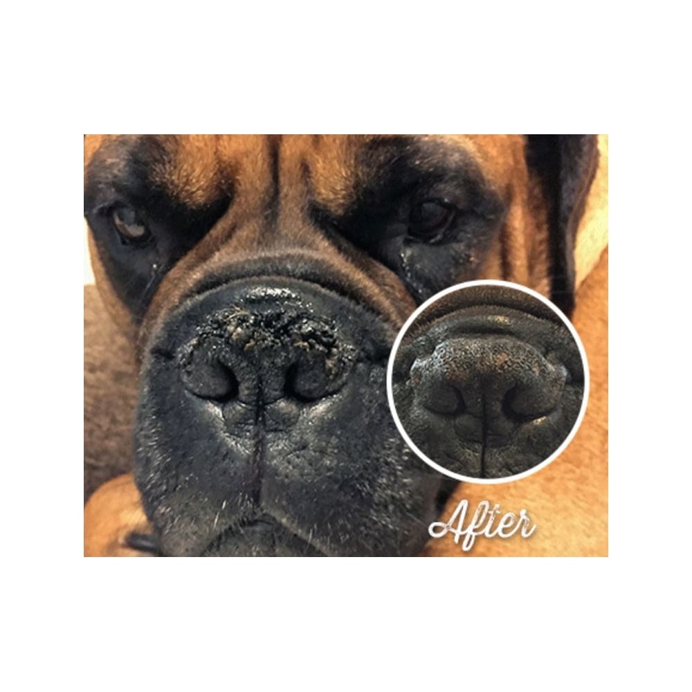Natural Dog Company Snout Soother