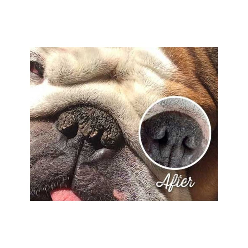 Natural Dog Company Snout Soother