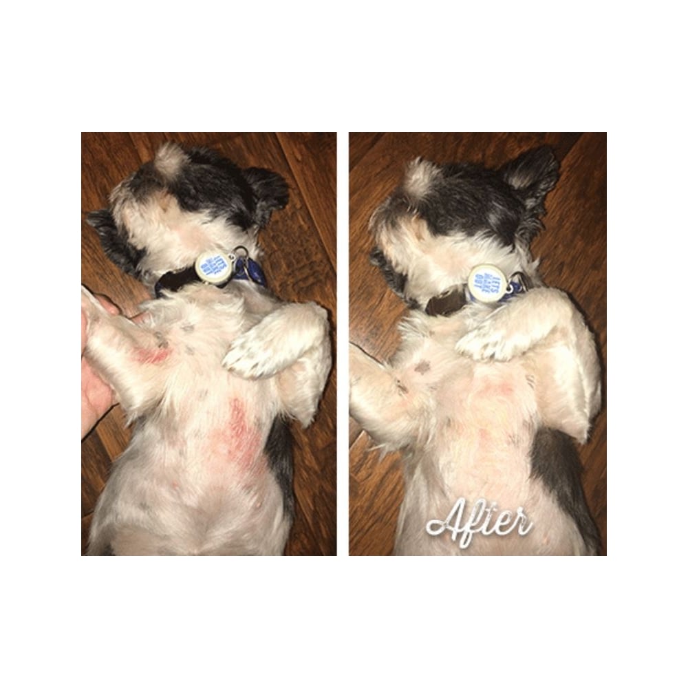 Skin Soother