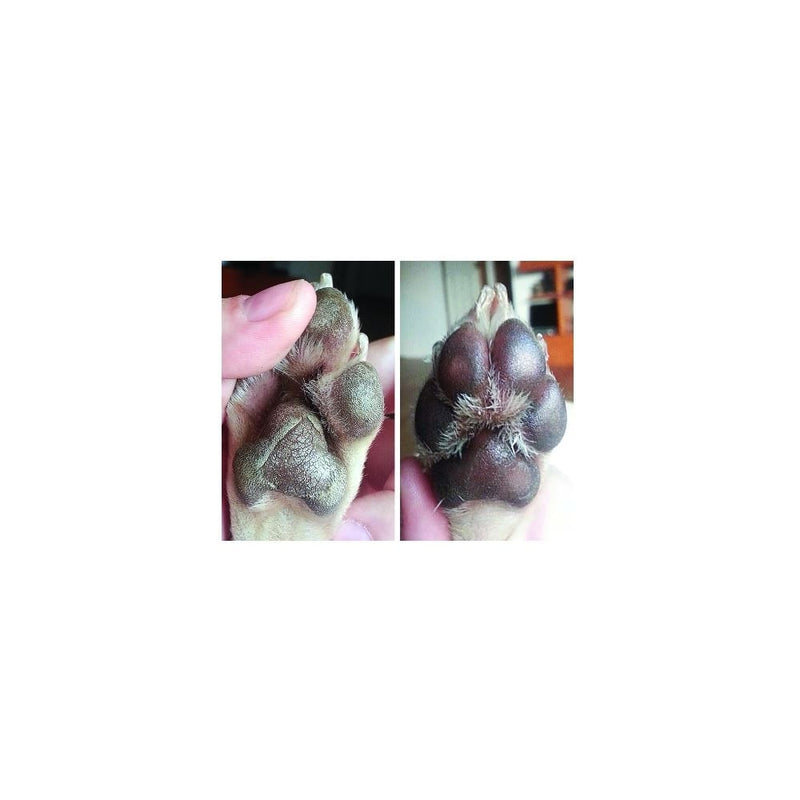 Paw Soother - 4.5ml (Trial Size)