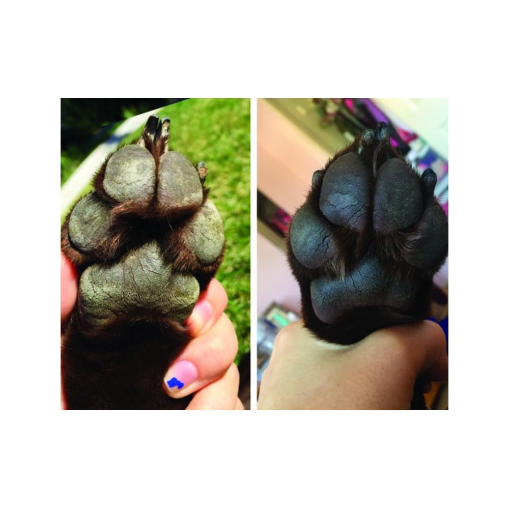 Paw Soother - 4.5ml (Trial Size)