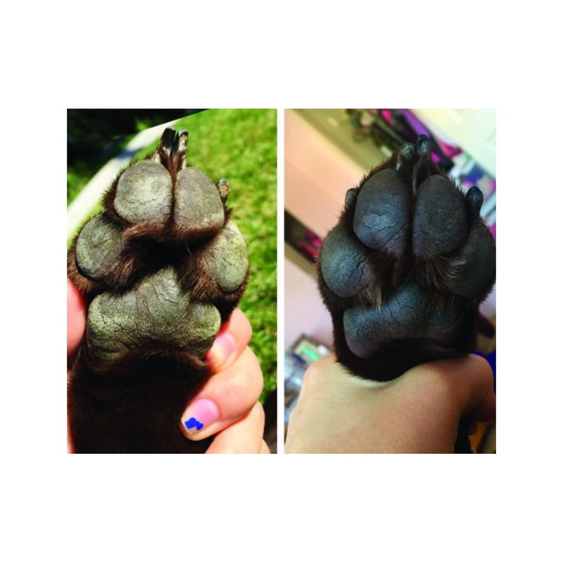 Paw Soother - 4.5ml (Trial Size)