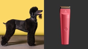 Andis Vida Cordless Clipper - Raspberry