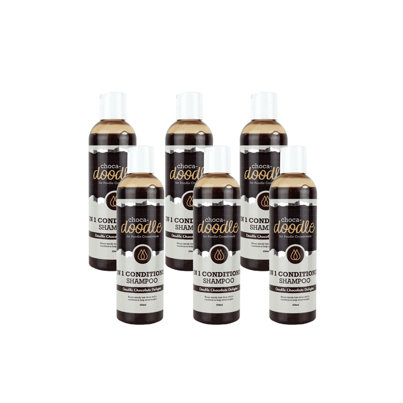 Choca-Doodle 2 in 1 Conditioning Shampoo 250ml - 6 Pack