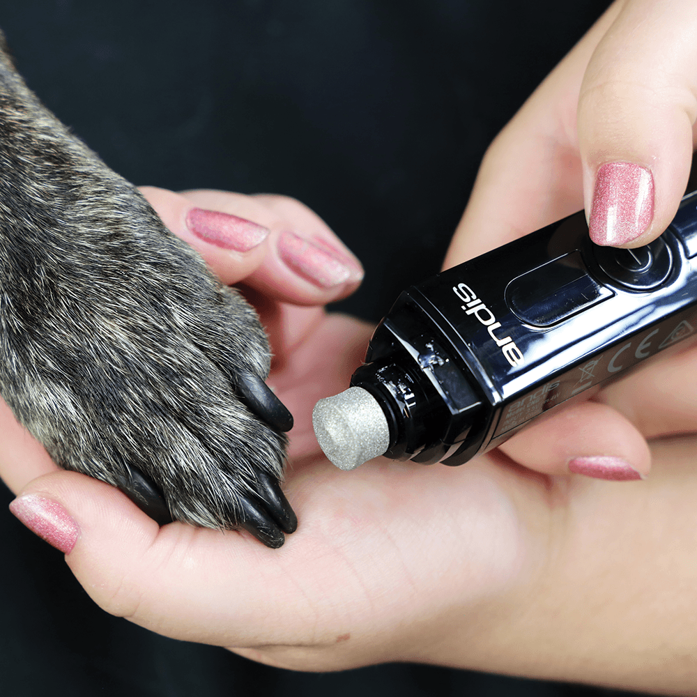 Andis Cord/Cordless Nail Grinder