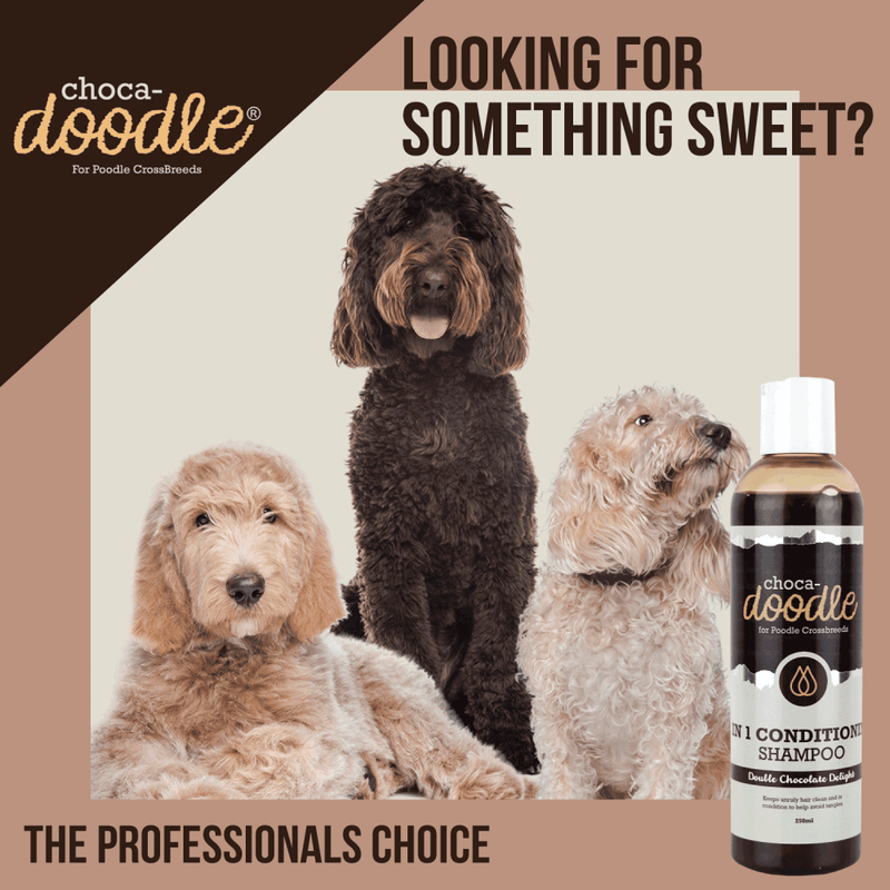 Choca-Doodle 2 in 1 Conditioning Shampoo 250ml