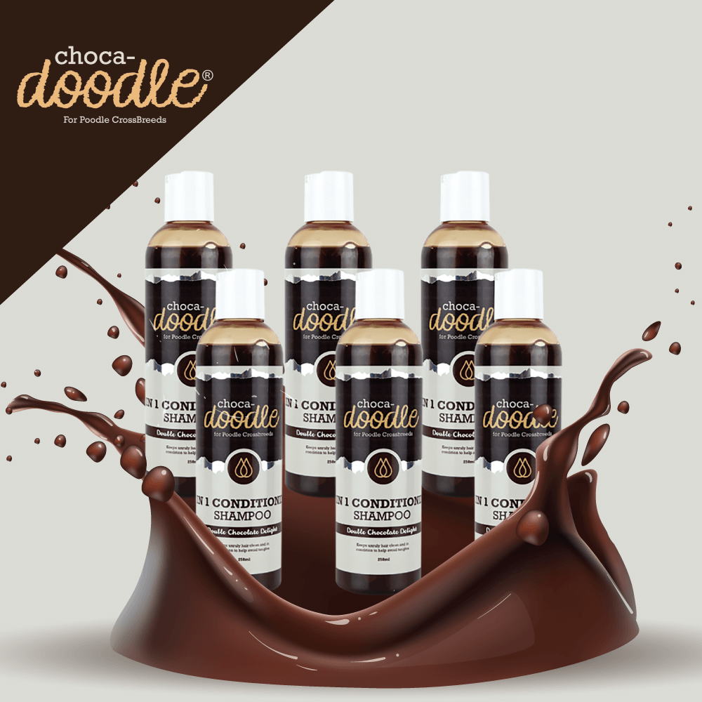 Choca-Doodle 2 in 1 Conditioning Shampoo 250ml - 6 Pack