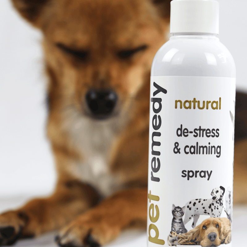 Pet Remedy Calming Spray - 200ml