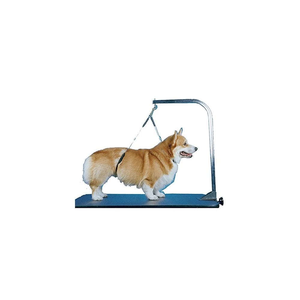 No Sit Holder