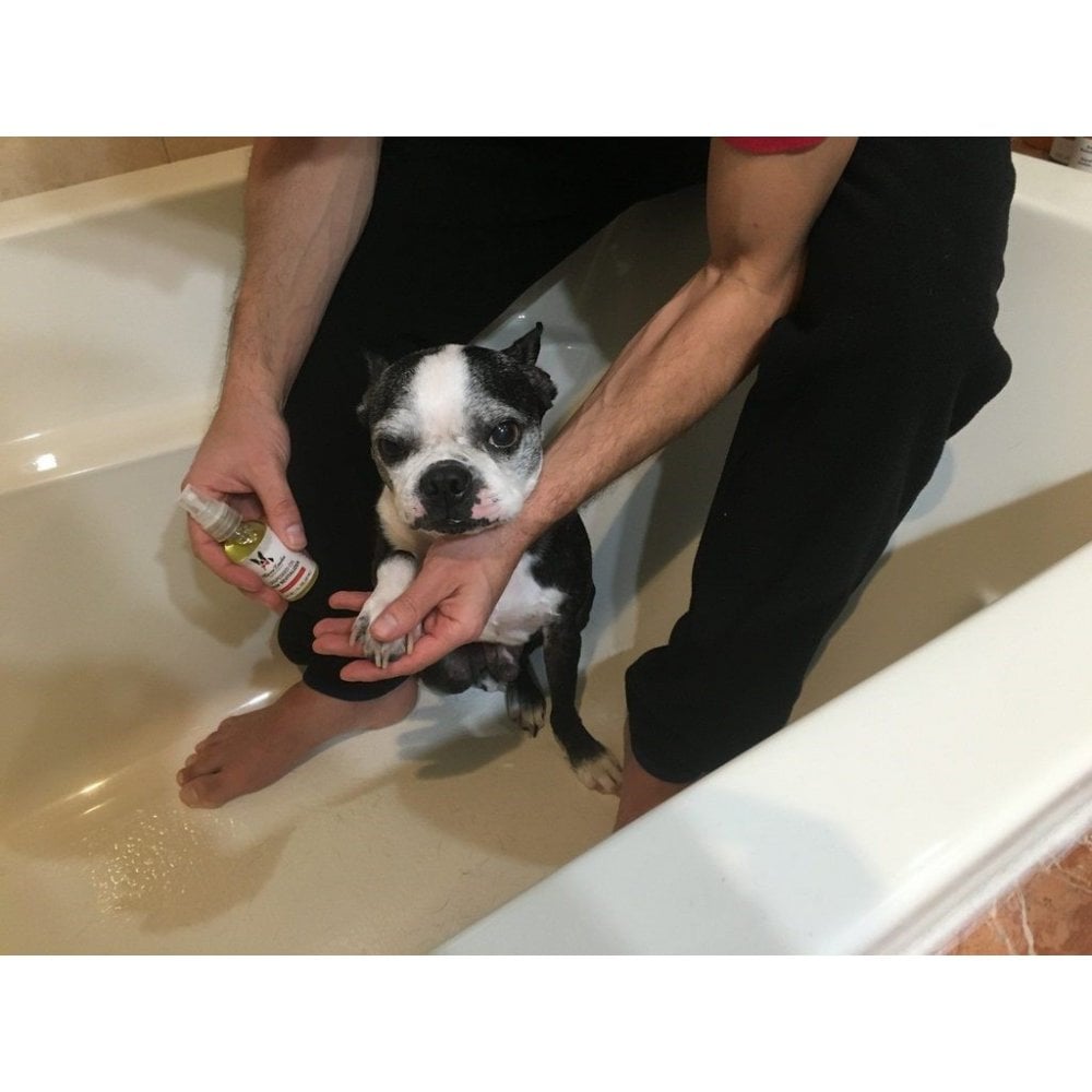 Grapeseed Oil Paw & Nose Revitalizer 30ml