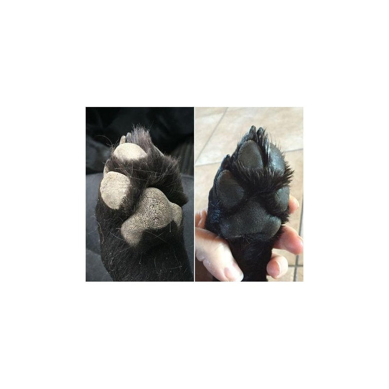 Warren London Paw Defense Wax 60g