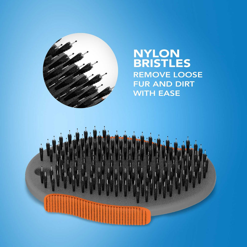 Wahl Palm Pal Brush