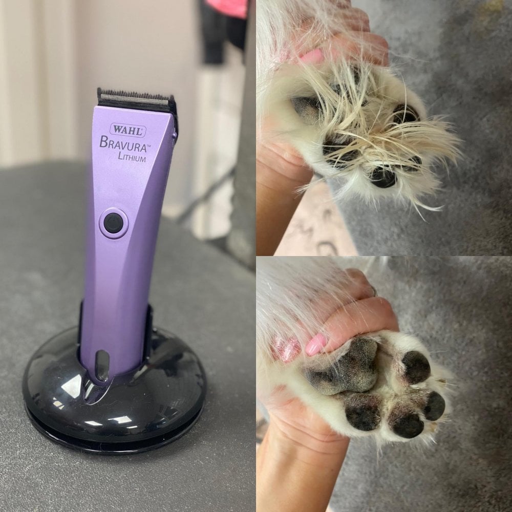 Wahl Bravura Cord/Cordless Animal Clipper