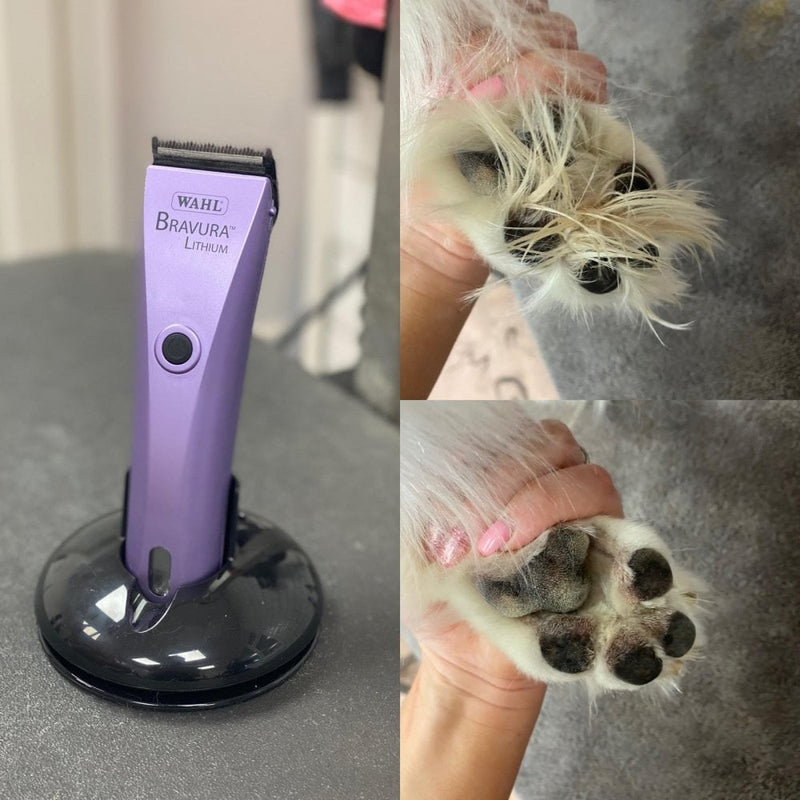 Wahl Bravura Cord/Cordless Animal Clipper