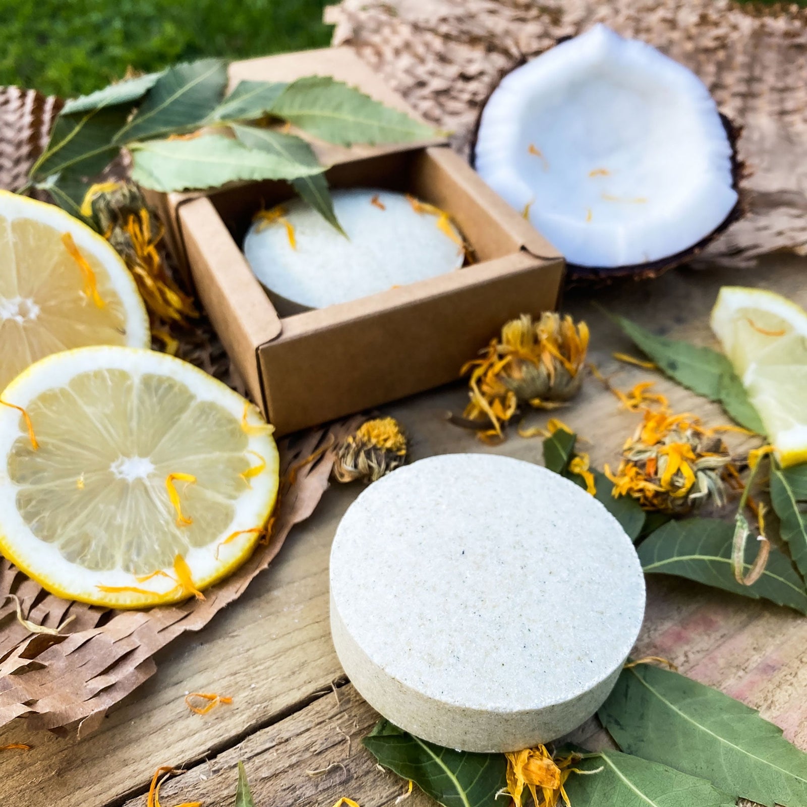 NED Pet Care Explorer Pet Shampoo Bar