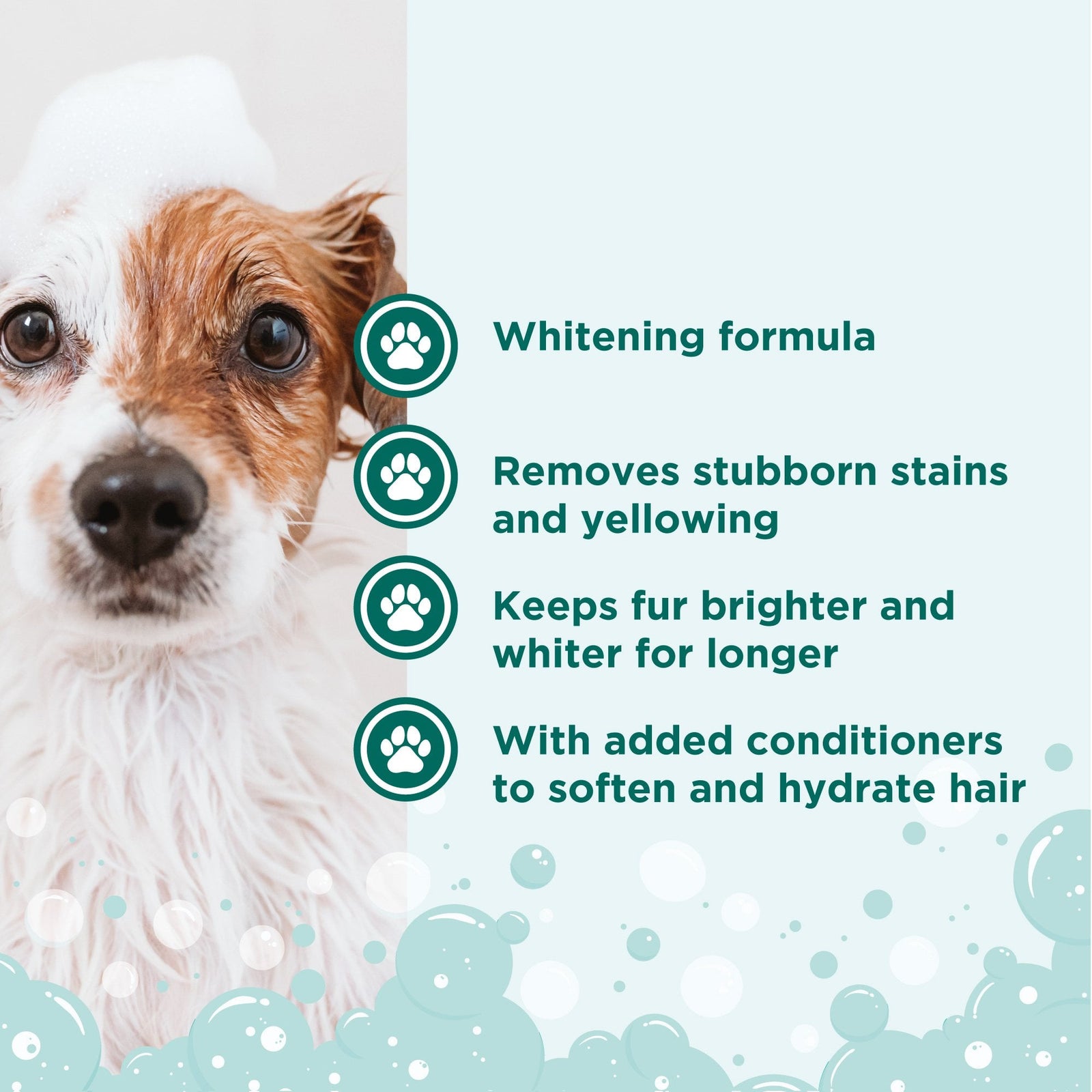Groomers Colour Enhancing White Coat Shampoo