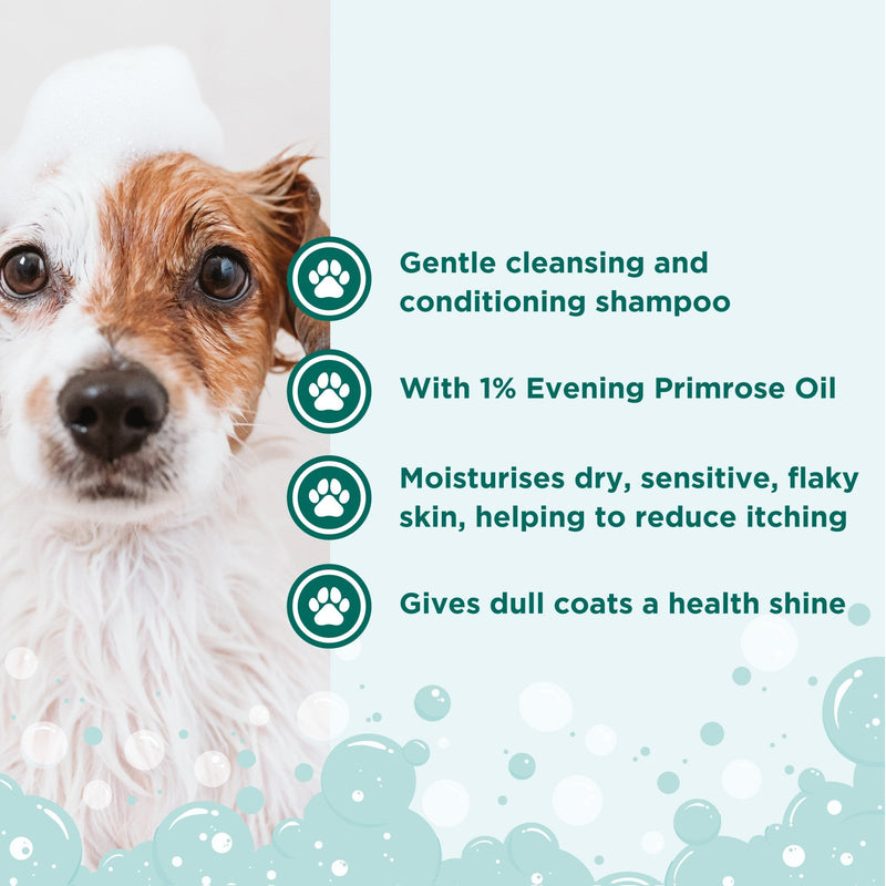 Groomers Signature Evening Primrose Oil Shampoo