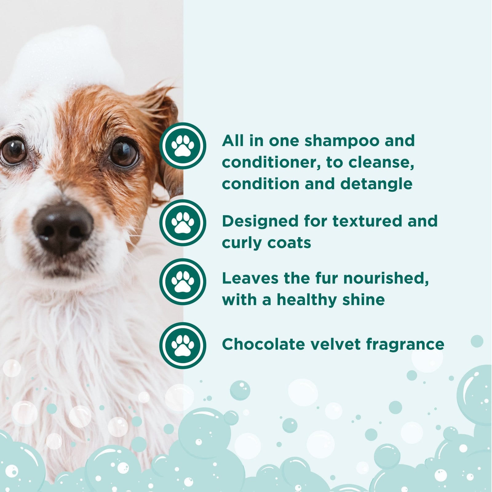 Groomers Crazy Curls 2 in 1 Conditioning Shampoo