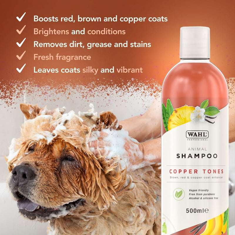Wahl Copper Tones Shampoo 500ml