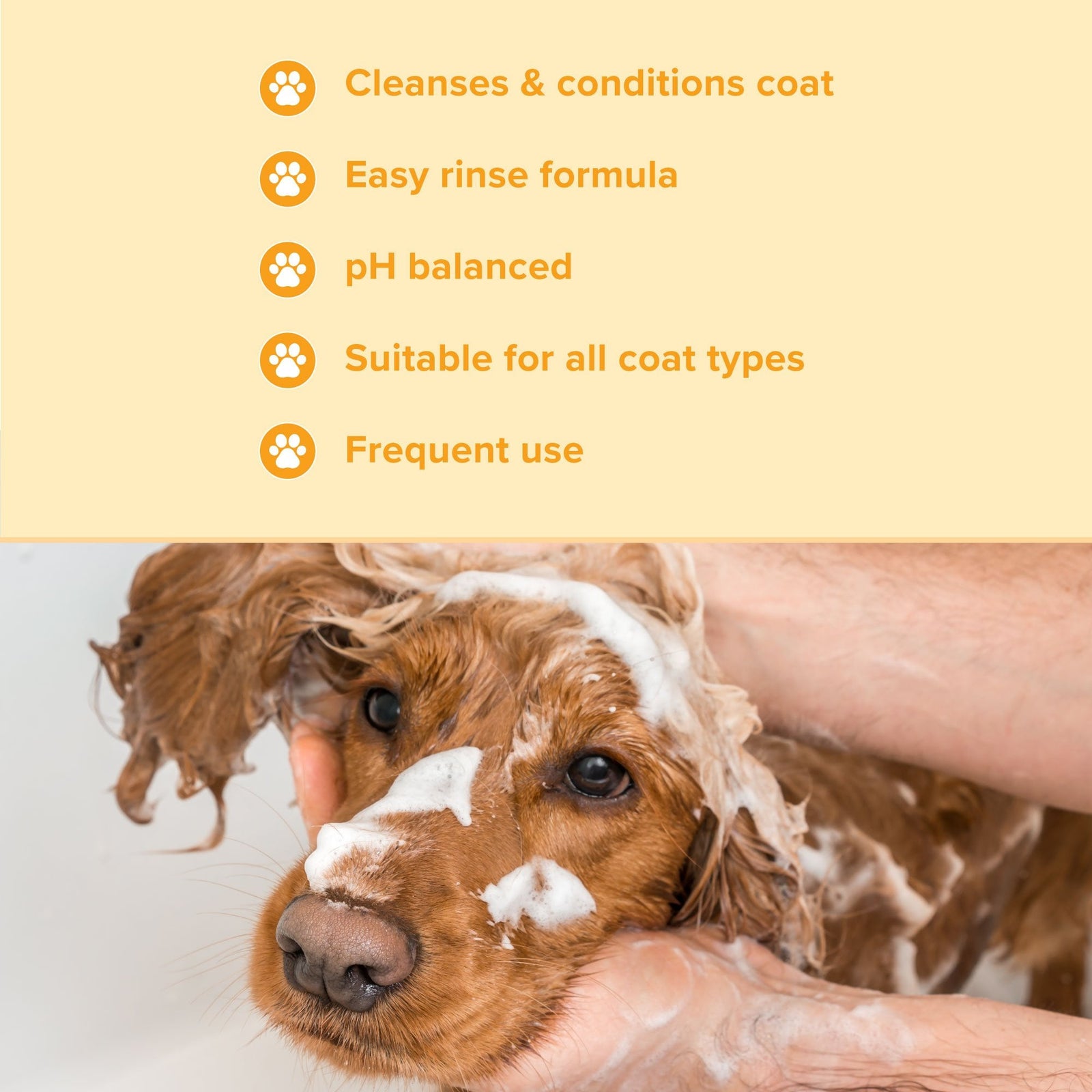 Groomers Everyday Banana & Mango Shampoo