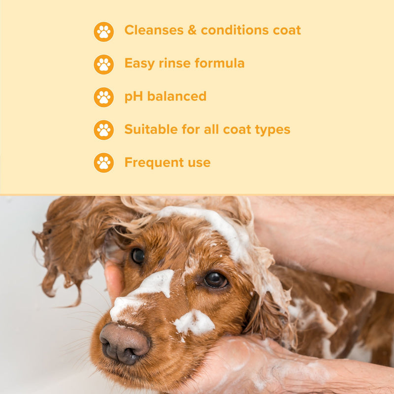 Groomers Everyday Banana & Mango Shampoo