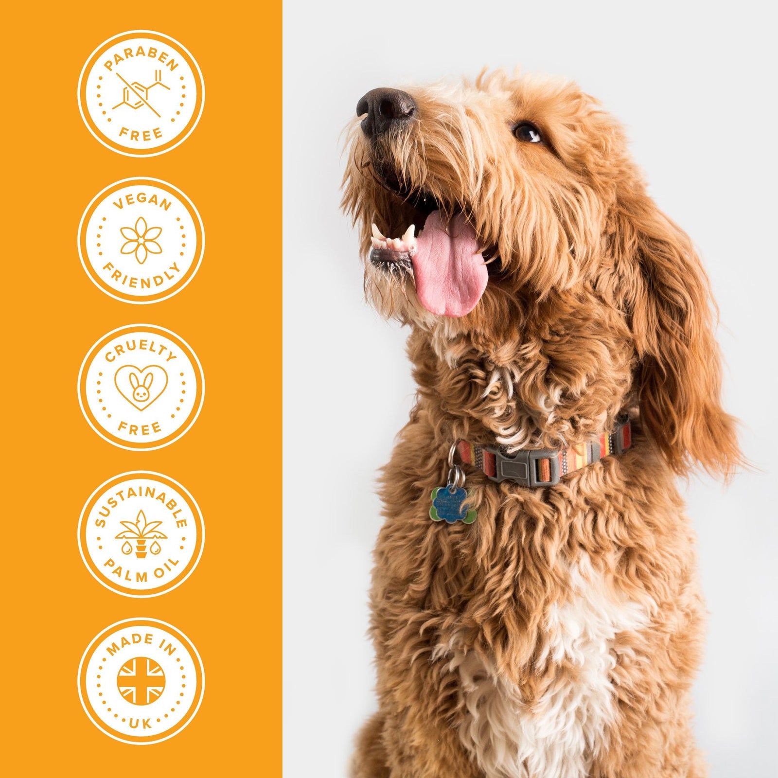 Groomers Everyday Banana & Mango Shampoo