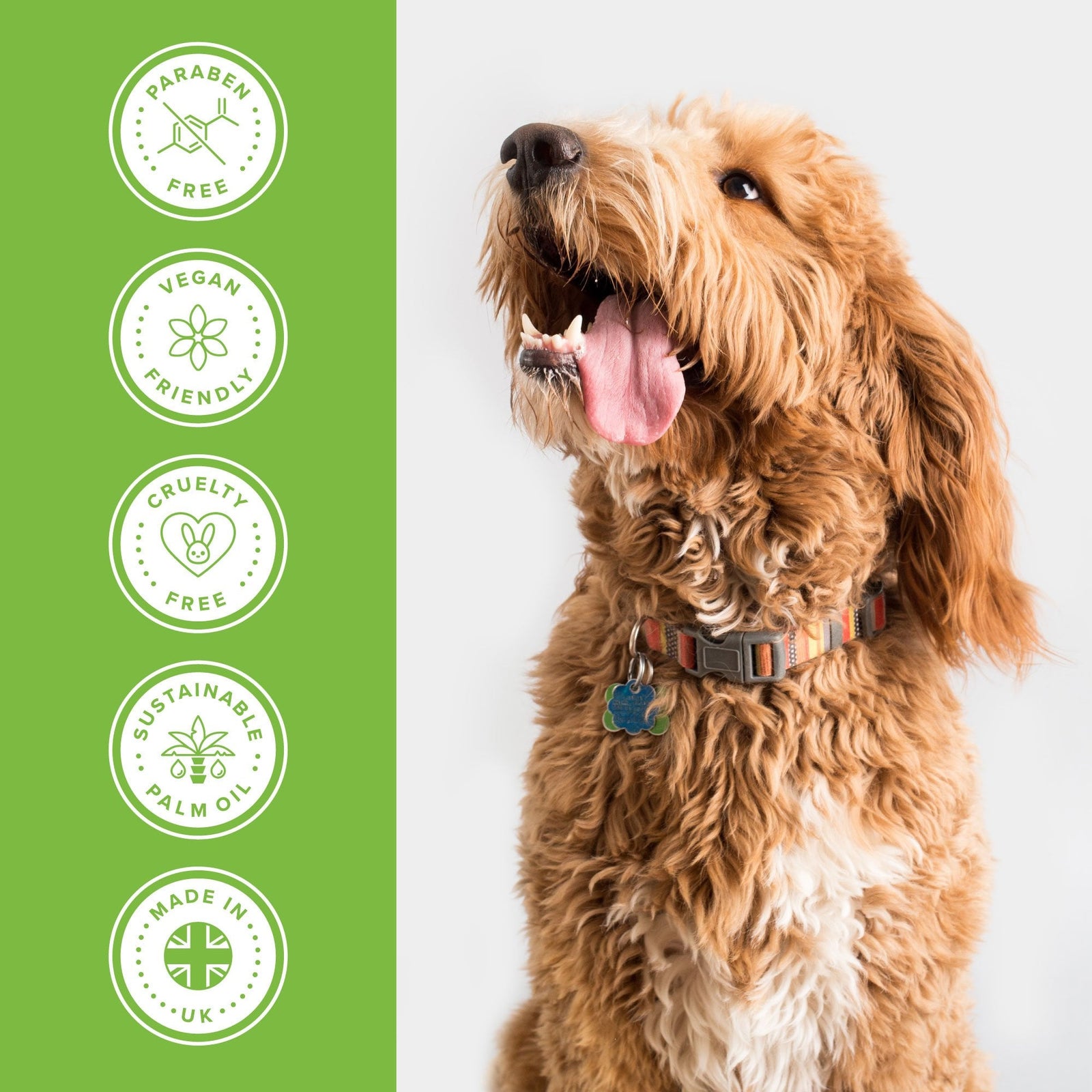 Groomers Everyday Melon Cocktail Shampoo
