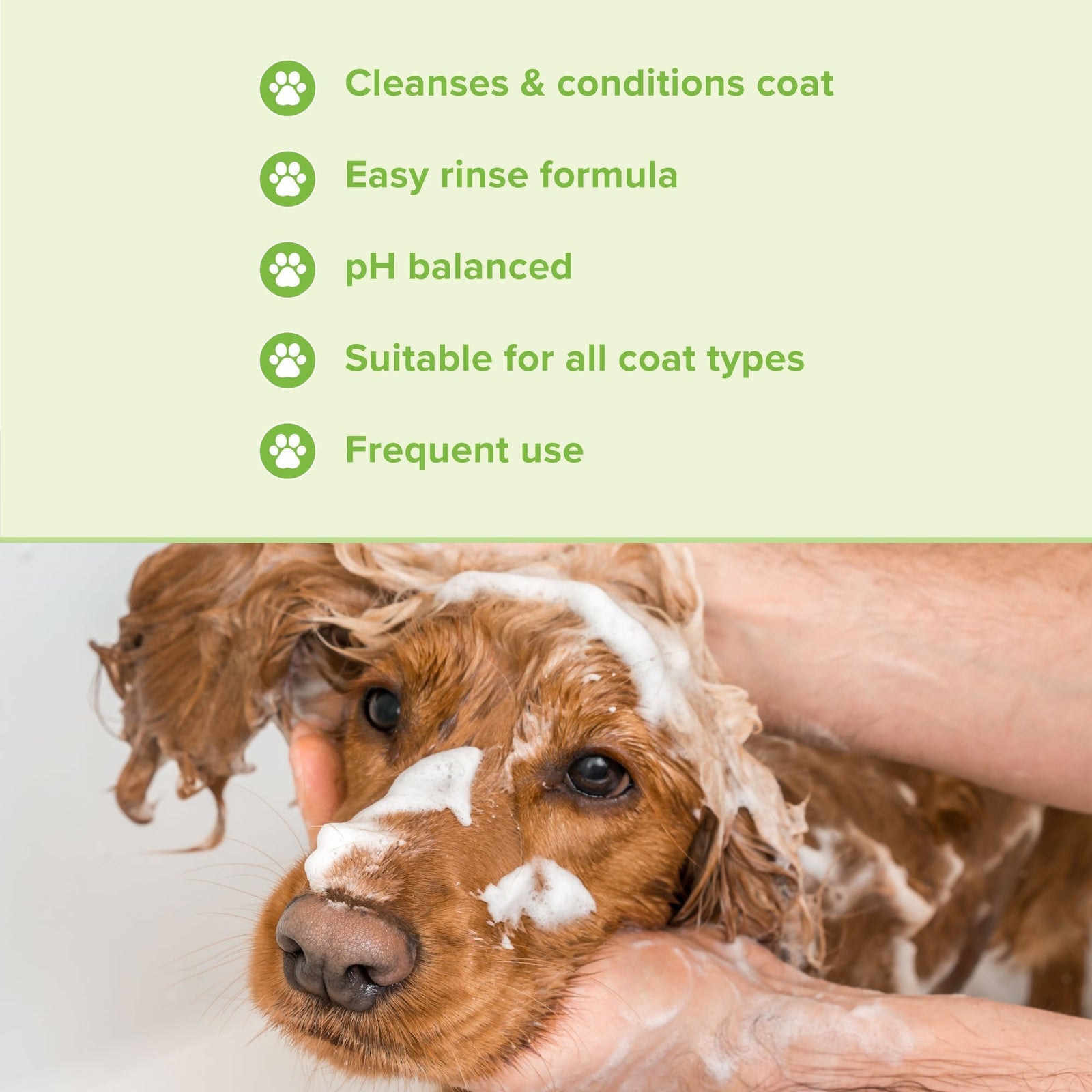 Groomers Everyday Melon Cocktail Shampoo