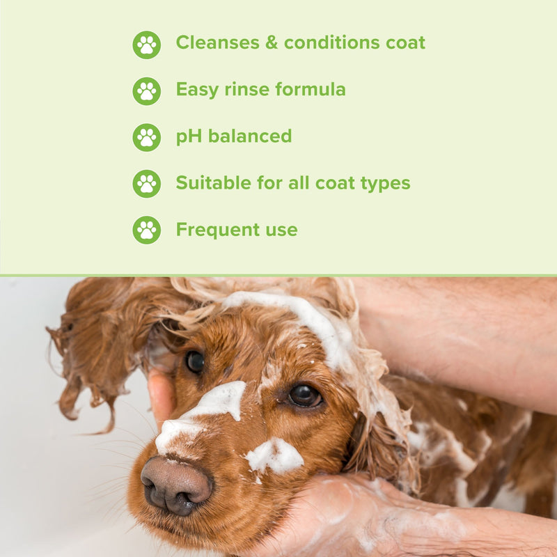 Groomers Everyday Melon Cocktail Shampoo