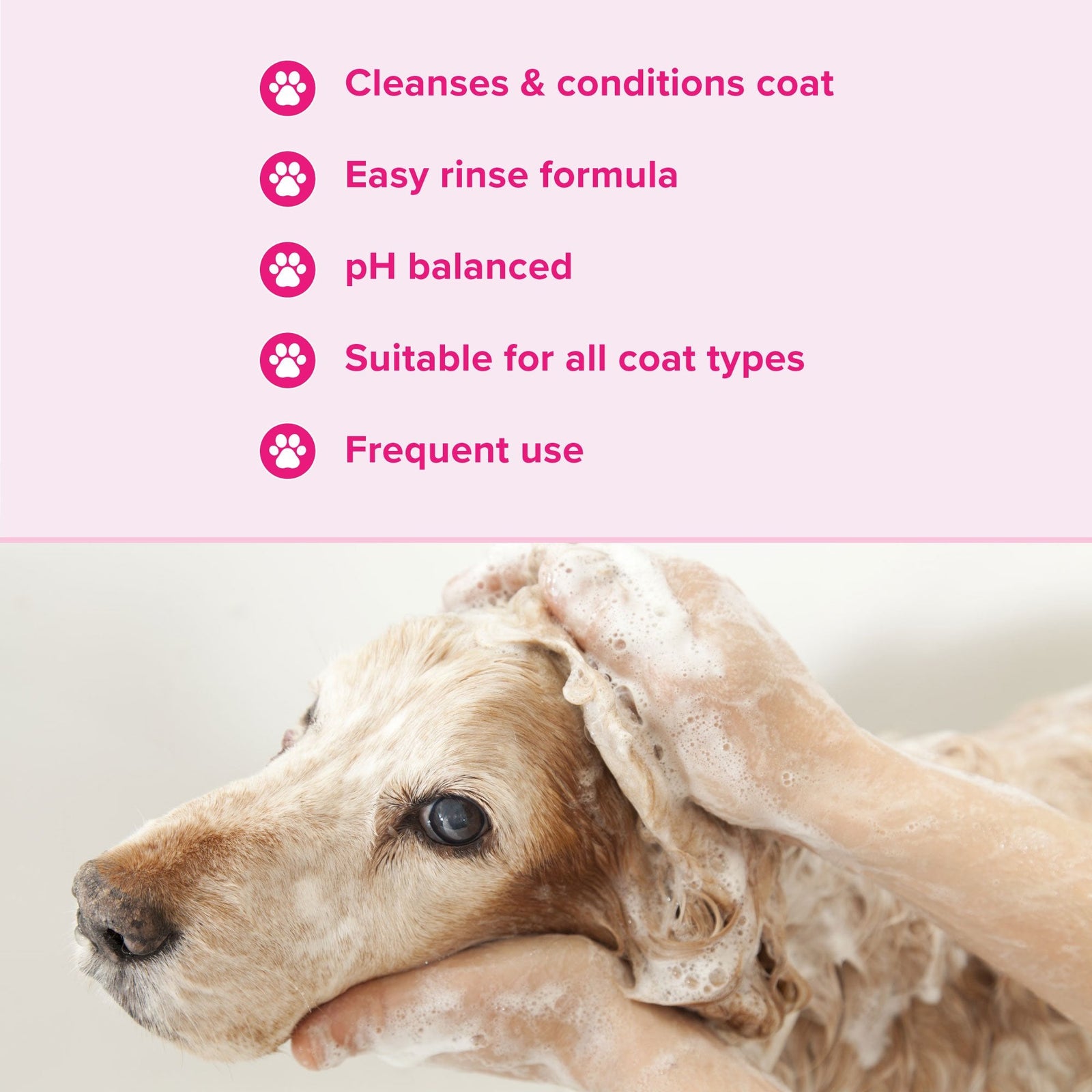Groomers Everyday Floral Bouquet Shampoo