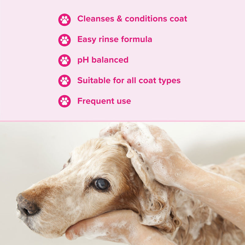 Groomers Everyday Floral Bouquet Shampoo