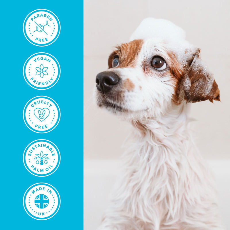 Groomers Everyday Clear Skies Shampoo