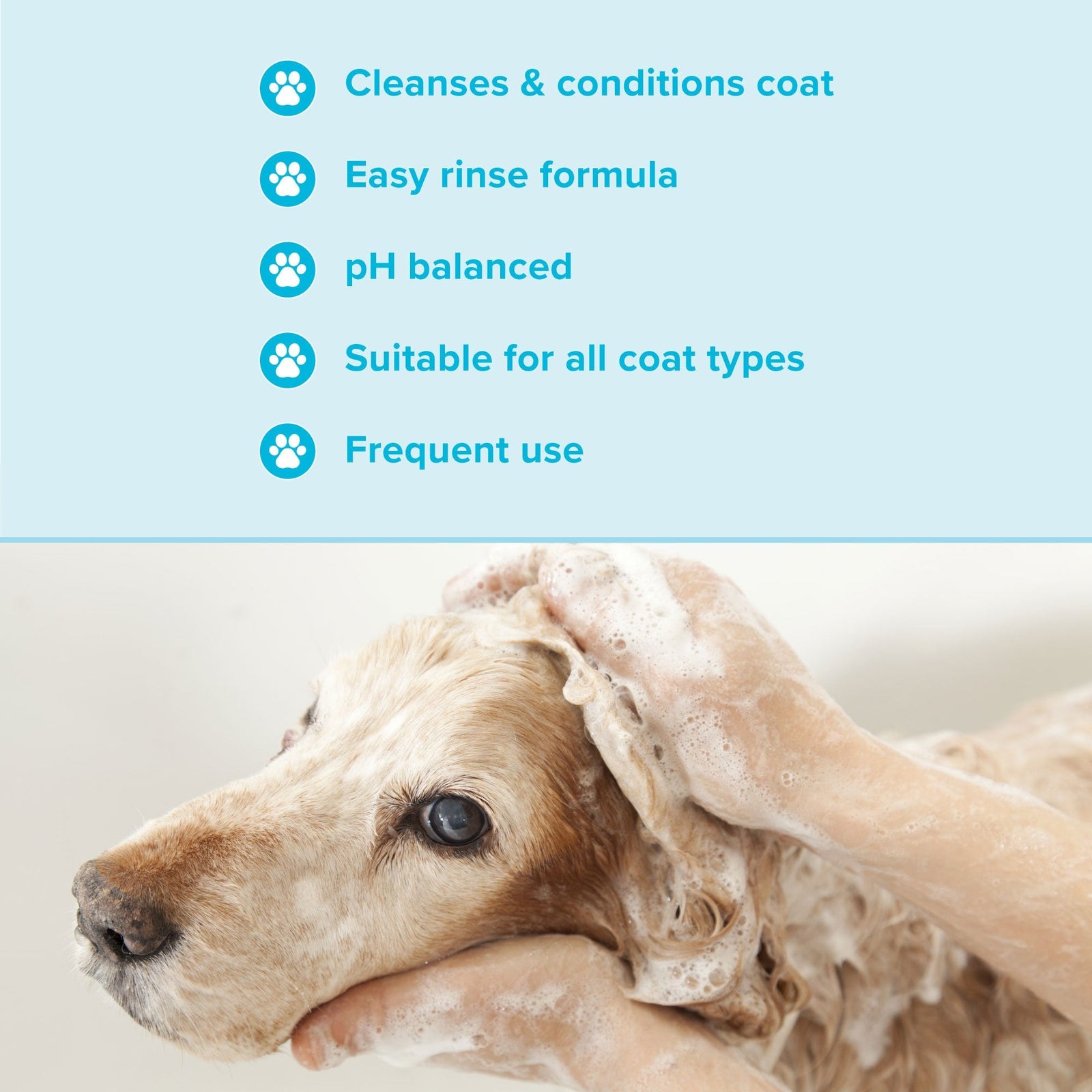 Groomers Everyday Clear Skies Shampoo