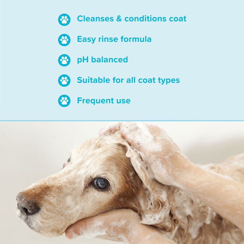 Groomers Everyday Clear Skies Shampoo