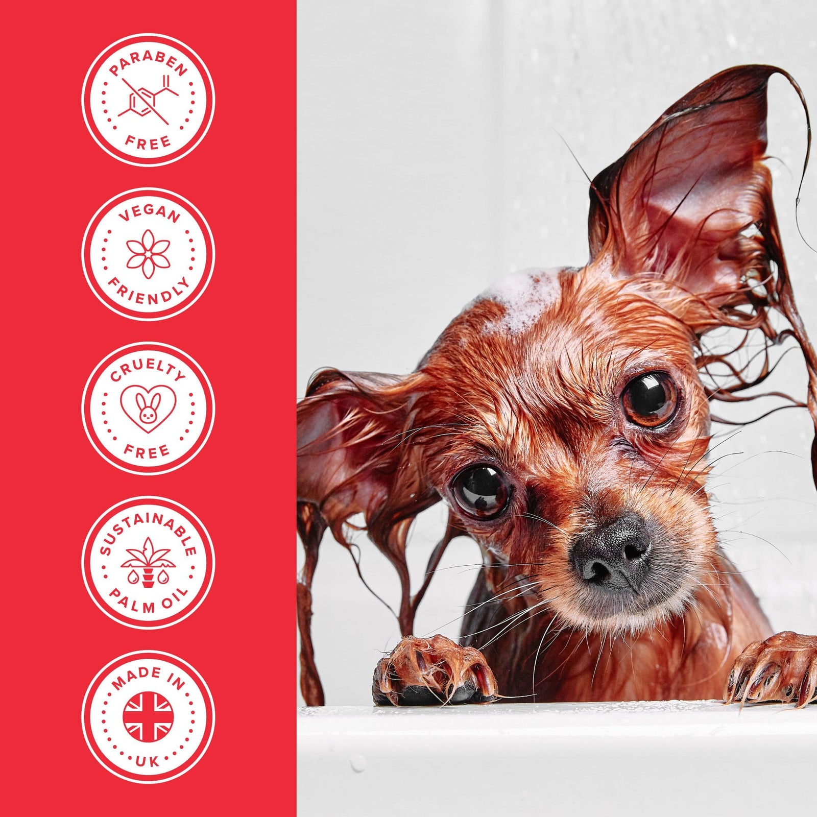 Groomers Everyday Summer Blossom Shampoo