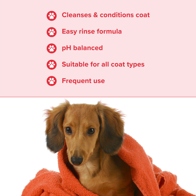 Groomers Everyday Summer Blossom Shampoo