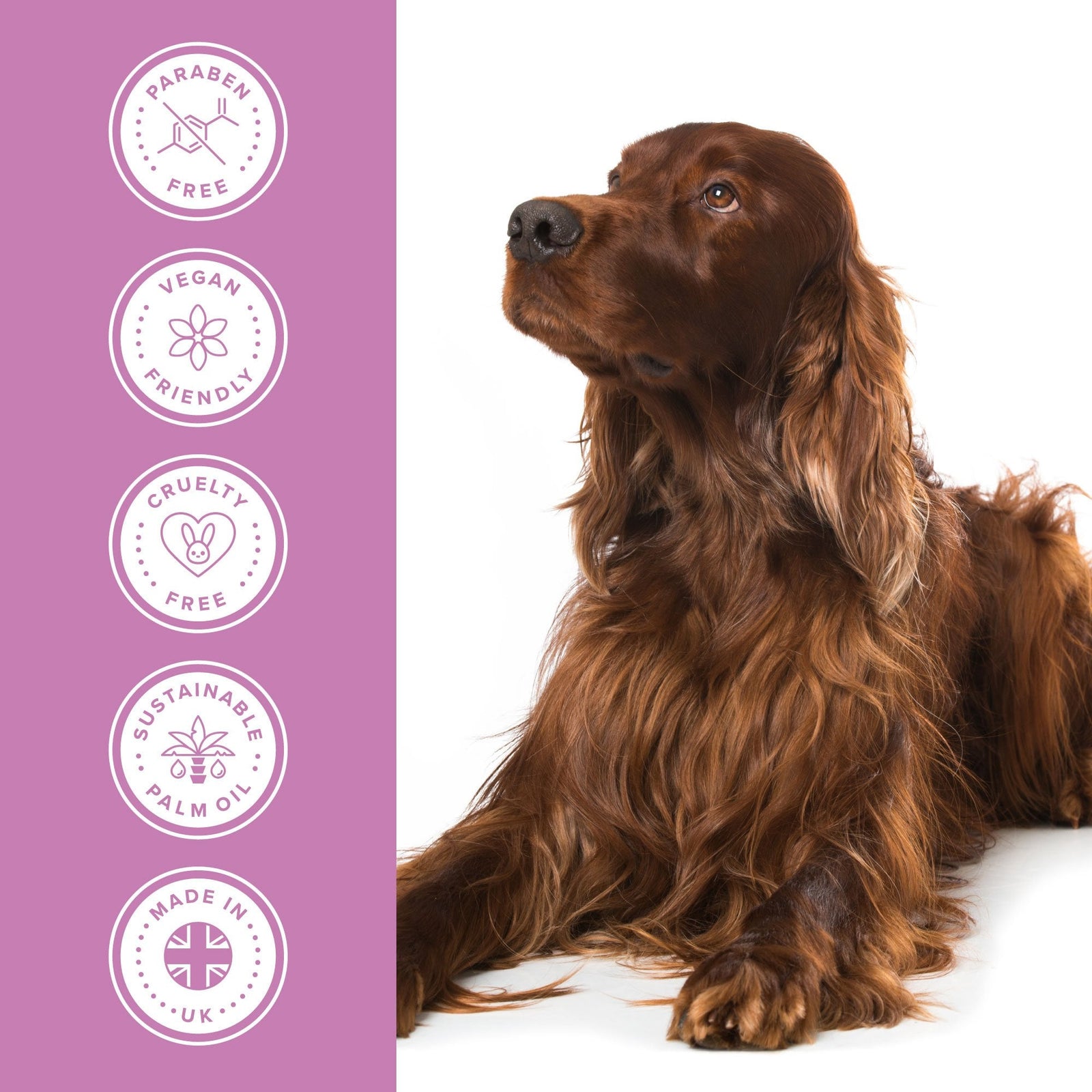 Groomers Performance Shine Shampoo