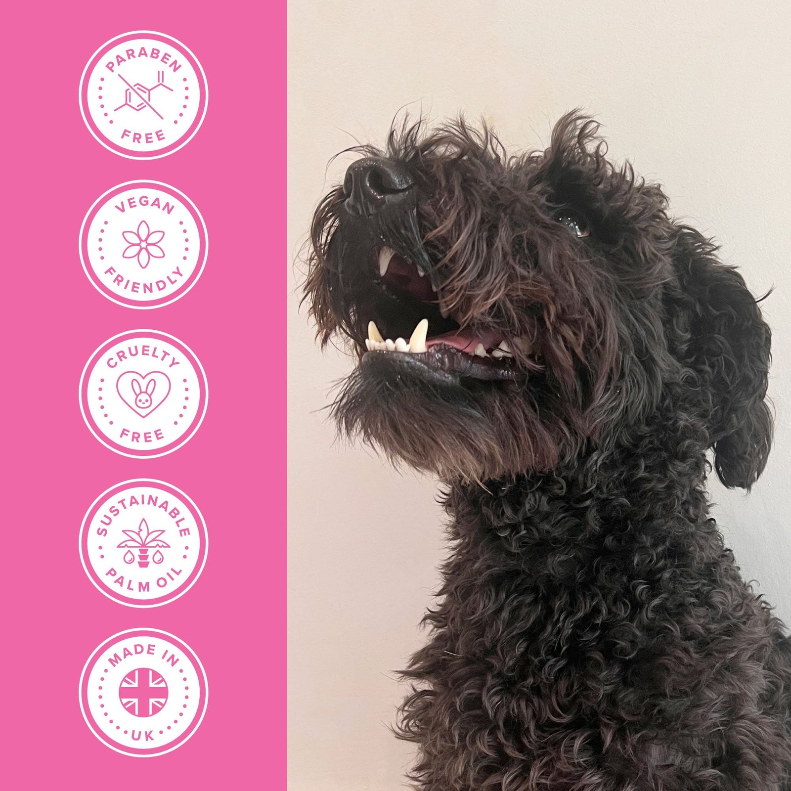 Groomers Performance Detangle Shampoo