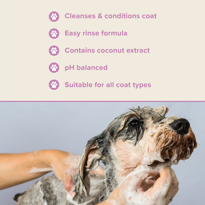 Groomers Performance Shine Shampoo