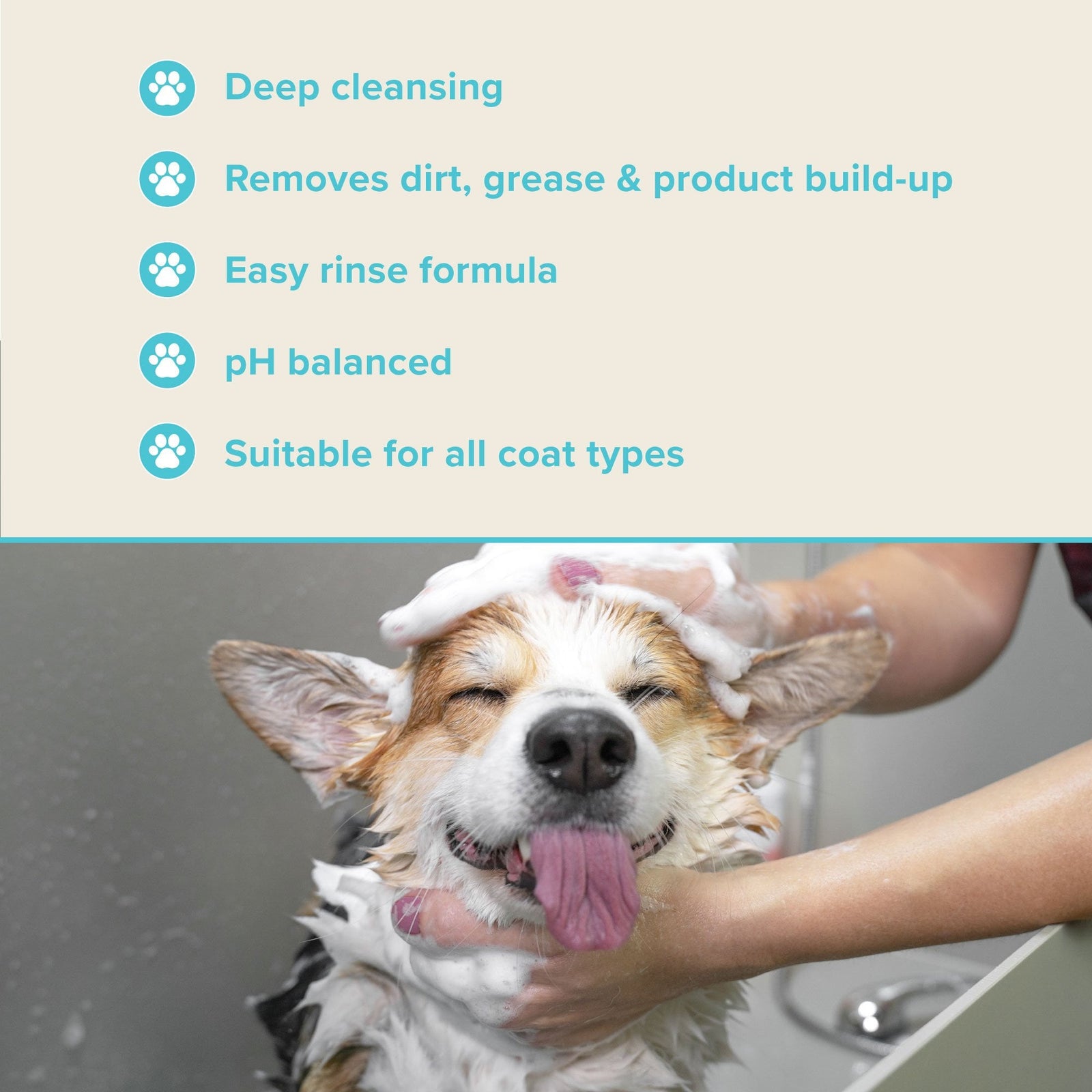 Groomers Performance Deep Clean Shampoo