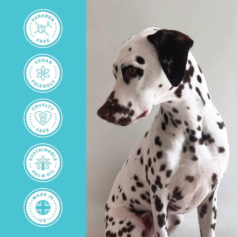 Groomers Performance Deep Clean Shampoo