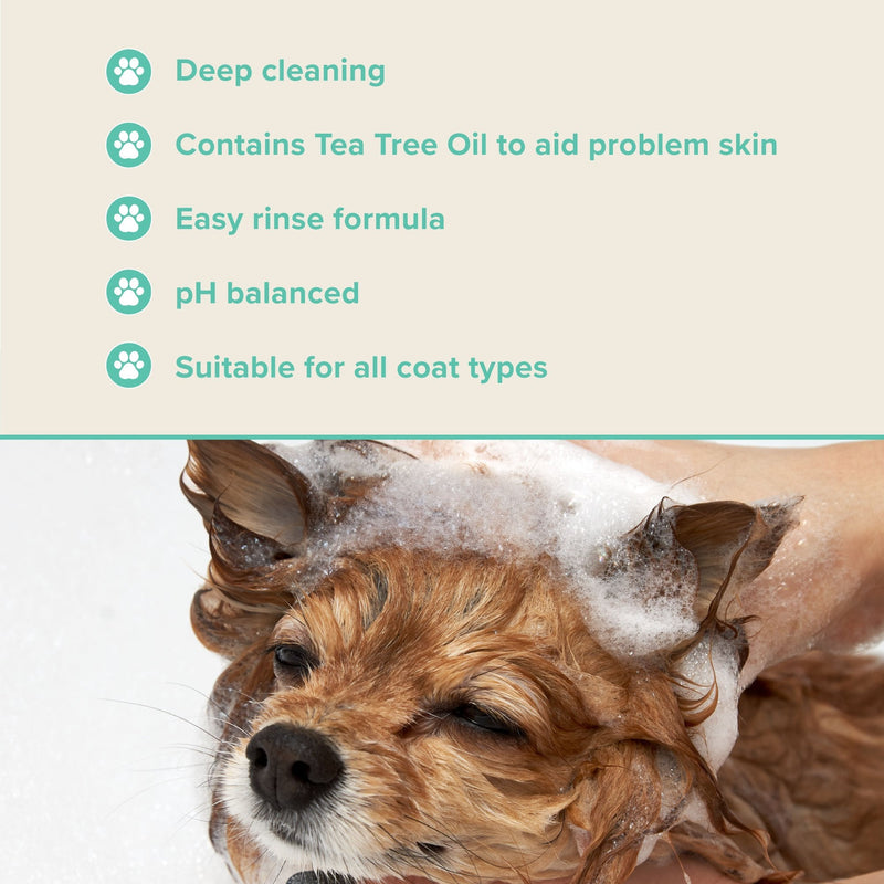 Groomers Performance Medicated Shampoo