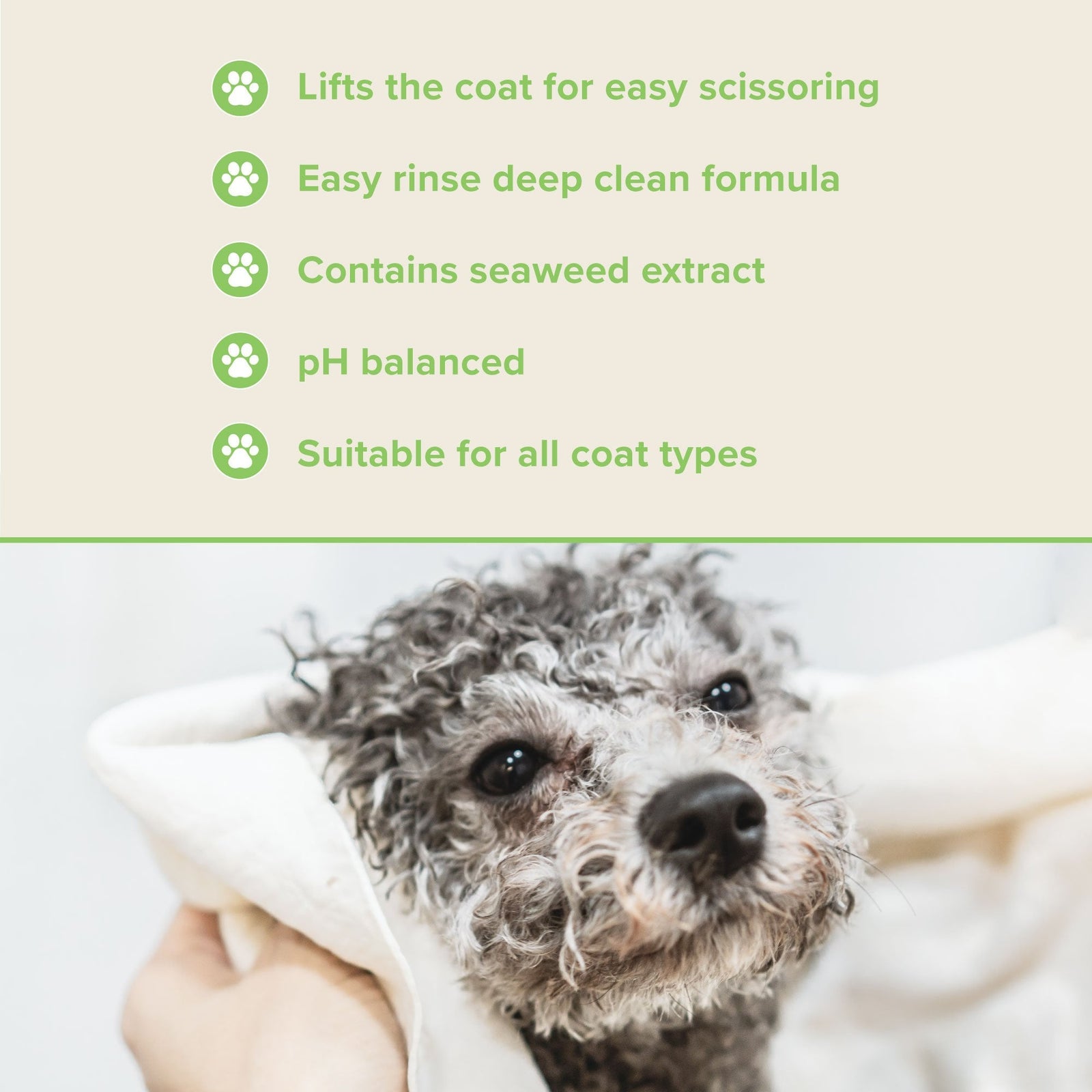 Groomers Performance Scissoring Shampoo