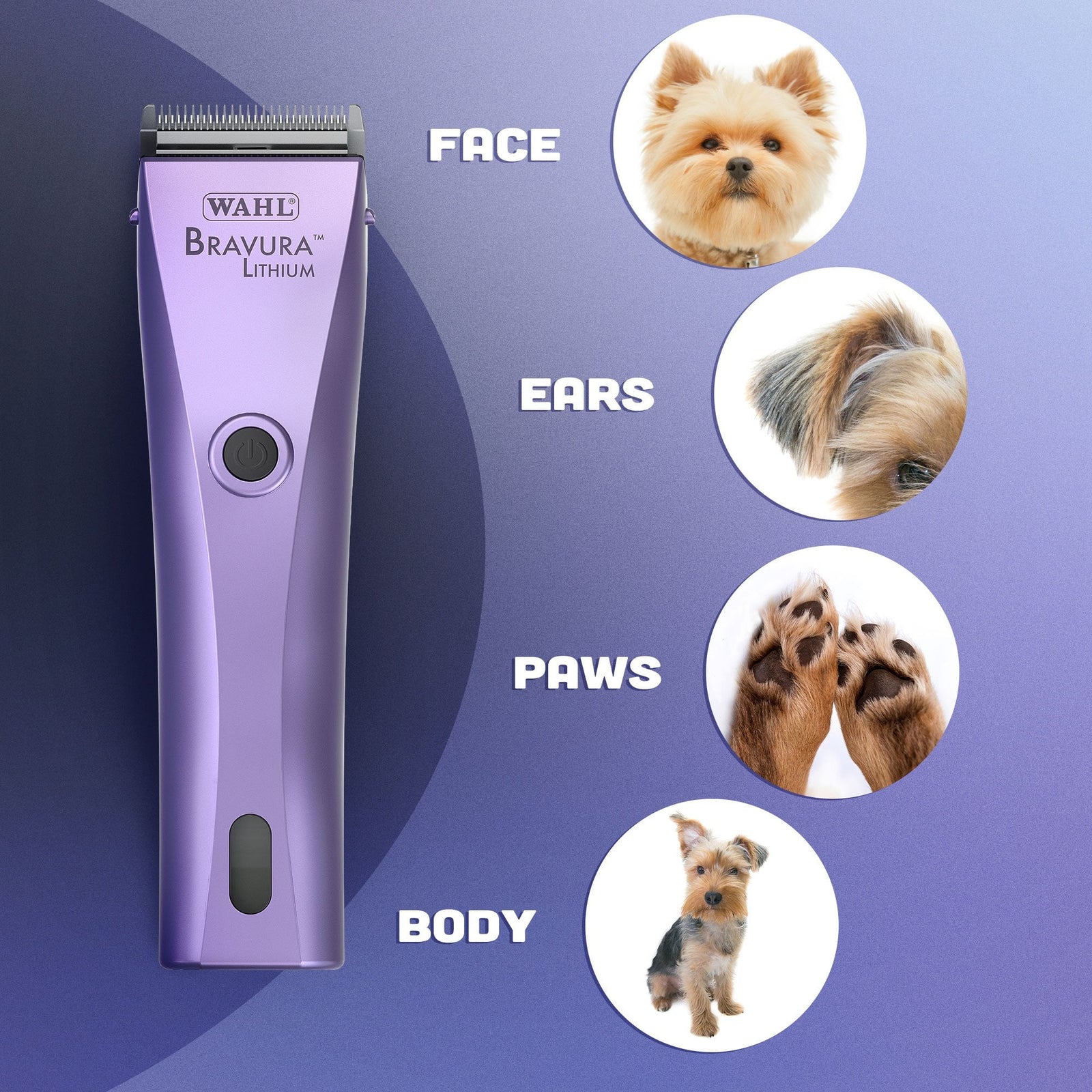 Wahl Bravura Cord/Cordless Animal Clipper