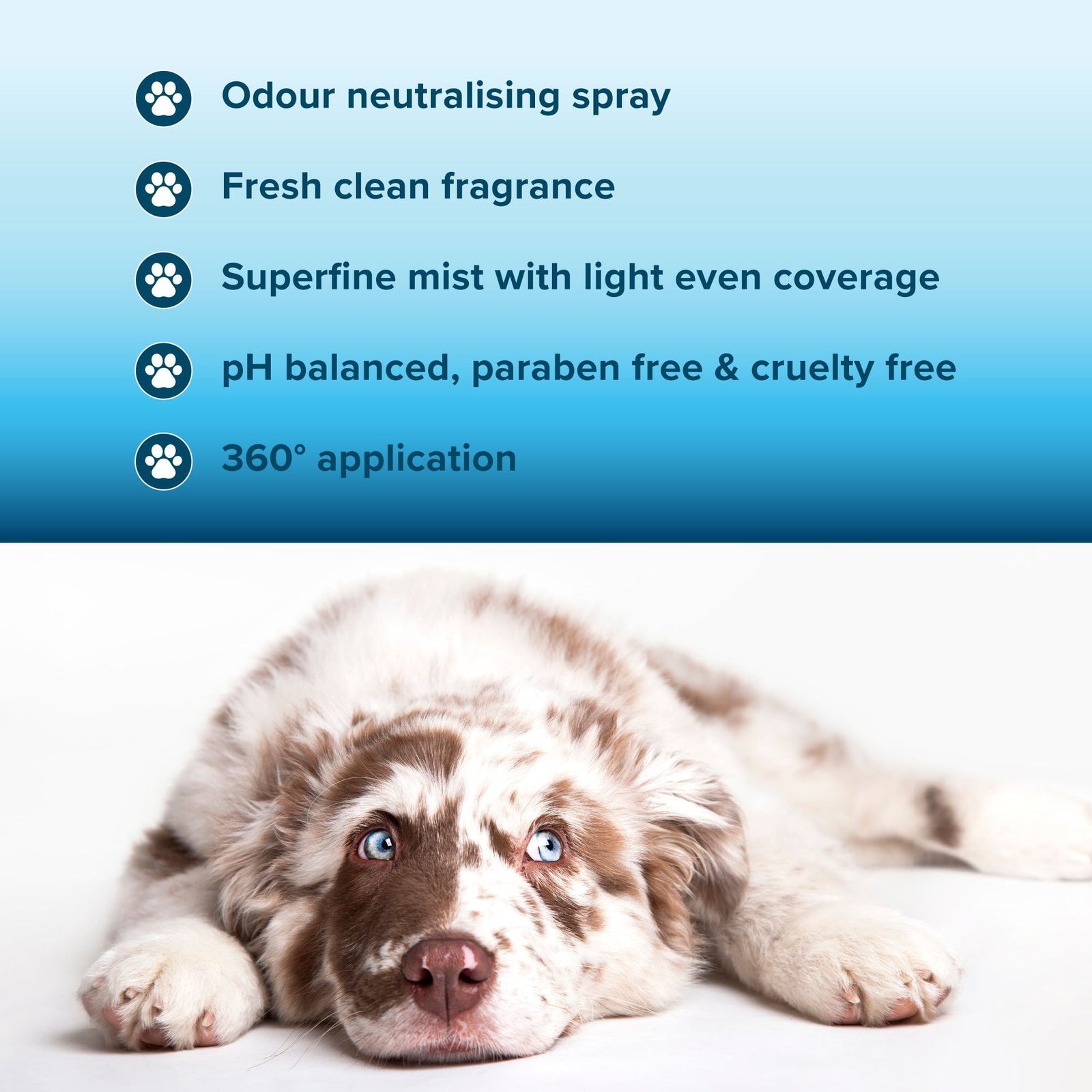 Coat Deodorising Spray 300ml